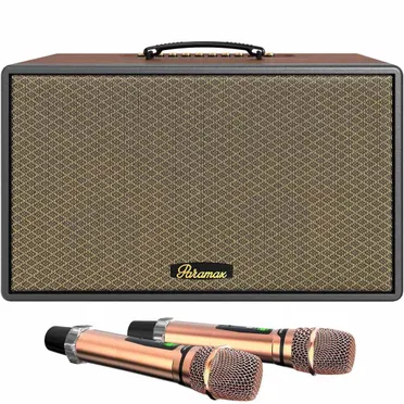 Loa Di Động Xách Tay Paramax Saga (Brown Leather)