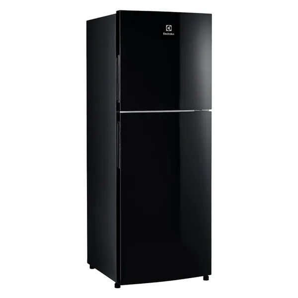 Tủ Lạnh Electrolux Inverter 256 Lít ETB2802J-H