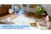 Quạt Tuần Hoàn Có Remote Sharp PJ-CD603V-C 24W