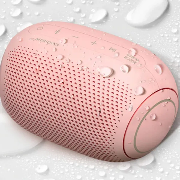 Loa Bluetooth LG PL2P