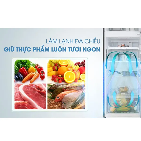 Tủ Lạnh LG Inverter 272 Lít GN-M255BL