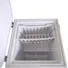 Tủ Đông Hòa Phát 100 Lít HCF 106S1N