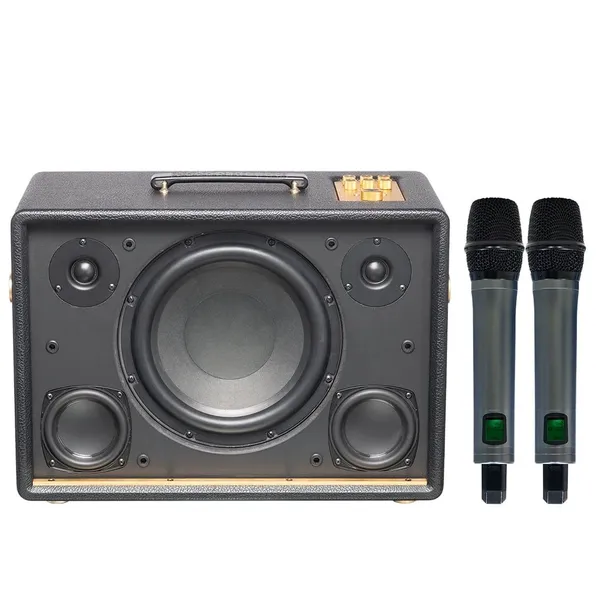 Loa Karaoke Di Động Acnos D'Auris 300 (Đen)