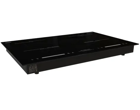 Bếp Đôi Junger ID-39 - Thái Lan 2