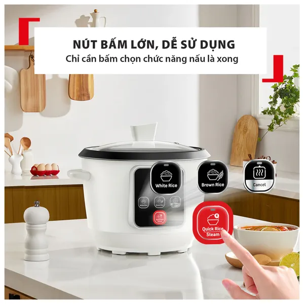 Nồi Cơm Nắp Rời Tefal RK1071Y0 1.8 Lít