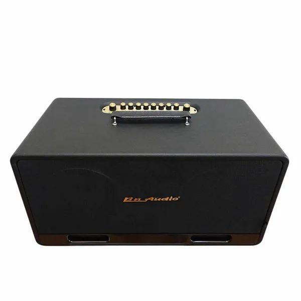 Loa Karaoke Xách Tay BN Audio BA 5500 VII