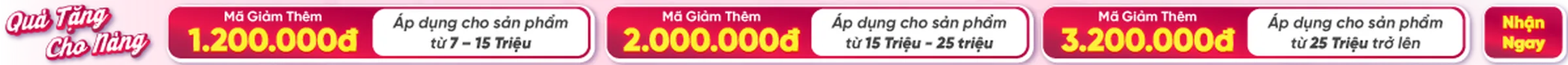 Đại Tiệc Voucher Online - Nhận Ưu Đãi Ngập Tràn từ Điện Máy Chợ Lớn