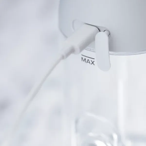 Máy Tăm Nước Philips HX3806/31