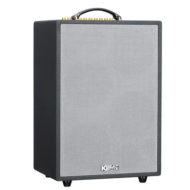 Loa Karaoke Di Động Xách Tay ACNOS SONCAMEDIA ePOP 100 2