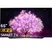 LG Smart Tivi OLED 4K 65 Inch 65C1PTB 0