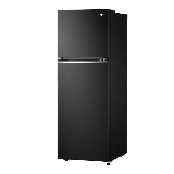 Tủ Lạnh LG Inverter 243 Lít GV-B242WB
