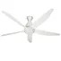 Quạt Trần Panasonic F-60GDN