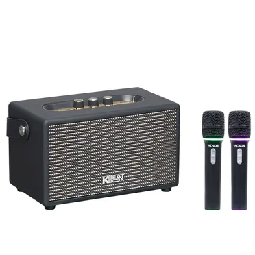 Loa Karaoke Xách Tay Acnos S30 2