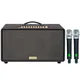 Loa Karaoke Xách Tay Acnos FLAC 36 Ver2 200W