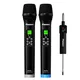 Micro Không Dây Tích Hợp DSP PASION ECHO