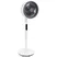 Quạt Đứng Lửng KDK HL19V 3