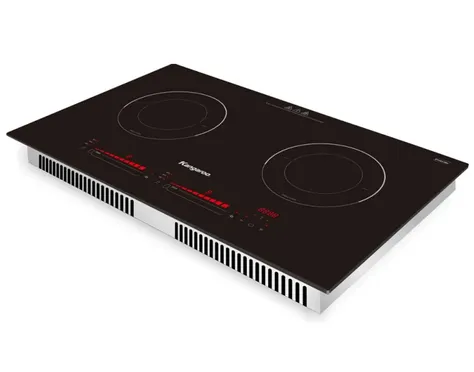 Bếp Điện Từ Đôi Kangaroo KG865i - Thái Lan 2