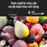 Google Tivi Mini LED Sony 4K XR-65X95K 2