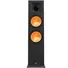 Loa Nghe Nhạc và Karaoke Hi-Fi Paramax EURO 1002 Limited (Walnut)