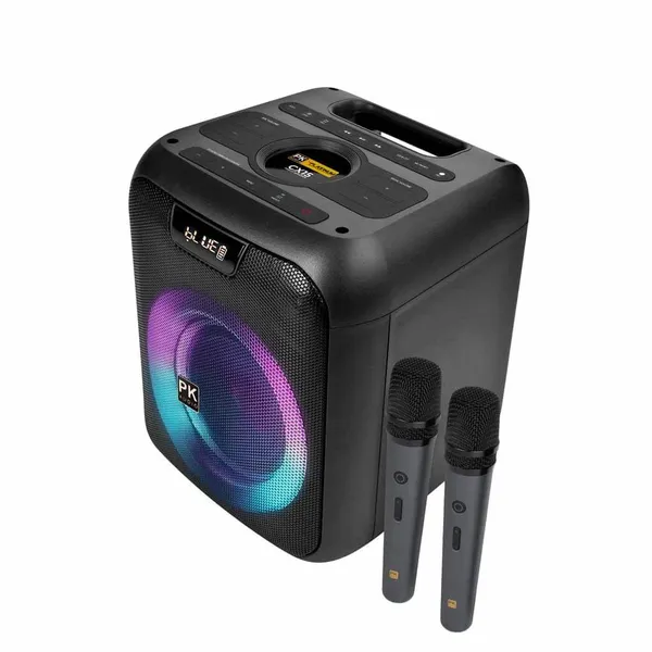Loa Karaoke Di Động Xách Tay Platinum CX15