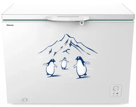 Tủ Đông Hisense Inverter 300 Lít FC380D4EWC1