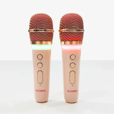 Bộ Loa Karaoke Mini Cổ Điển Bluetooth iCore VSM99 (Kèm 02 Micro) 6