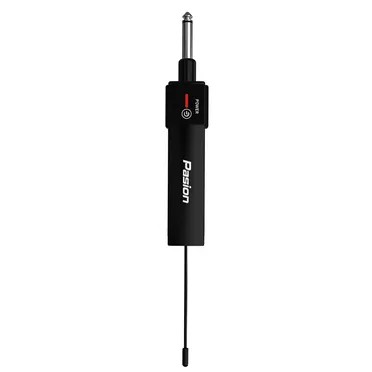 Micro Không Dây Tích Hợp DSP PASION ECHO 1