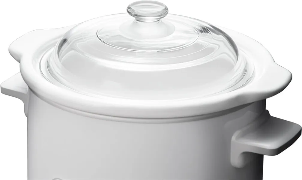 Nồi nấu chậm Panasonic NF-N30ASRA 3.0 lít