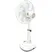 Quạt lửng Yanfan L828 3