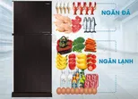 TOP 5 tủ lạnh b&aacute;n chạy th&iacute;ch hợp với gia đ&igrave;nh 3 đến 5 người
