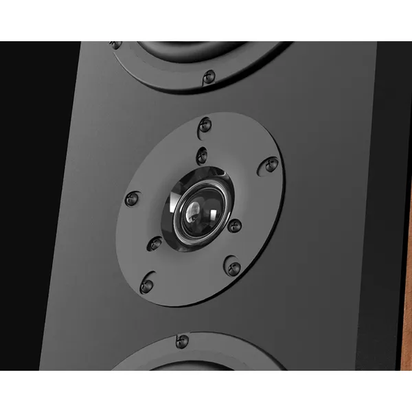 Loa Đứng PARAMAX D88 Limited (Walnut)