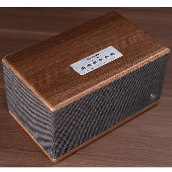 Loa Audio Pro BT5