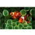 Android Tivi Casper 32 Inch HD 32HGS610 2