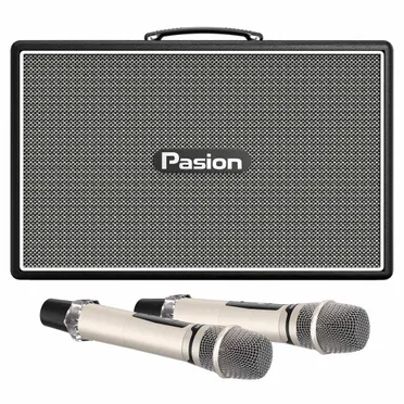 Loa Karaoke Di Động Xách Tay Paramax PASION Outro ( Black Leather)