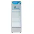 Tủ Mát Hòa Phát 280 Lít HSC 700F1R1