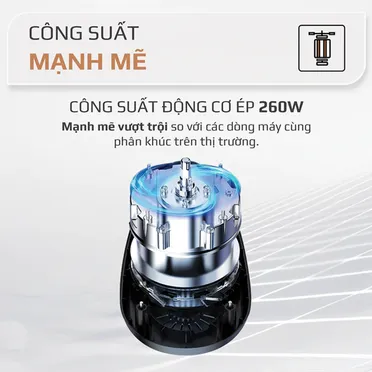 Máy Ép Chậm Olivo SJ200 13