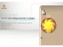 Bếp Điện Từ Đơn Kèm Nồi Lẩu Hawonkoo SEOUL-CEH-108-INVERTER-CF