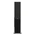 Loa Đứng PARAMAX D88 Limited (Walnut) 1