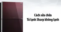 Tủ lạnh Sharp kh&ocirc;ng lạnh? Hướng dẫn c&aacute;ch sửa chữa v&agrave; khắc phục vấn đề