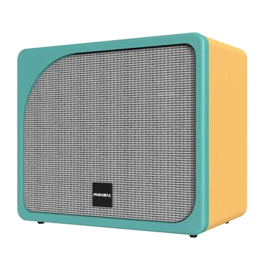 Loa Di Động Xách Tay Paramax Evox Max (Yellow Leather) 1