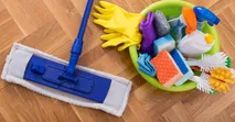 4 c&aacute;ch l&agrave;m sạch c&acirc;y lau nh&agrave; cực k&igrave; đơn giản v&agrave; hiệu quả