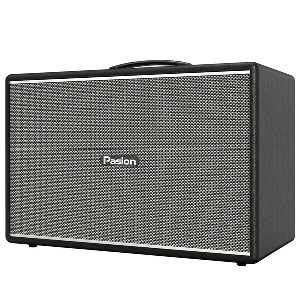 Loa Di Động Xách Tay Paramax PASION Mozo (Màu Đen)