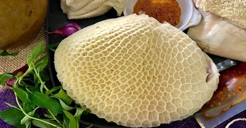 Lá sách bò là gì? Cách chọn mua lá sách bò ngon, giòn sạch