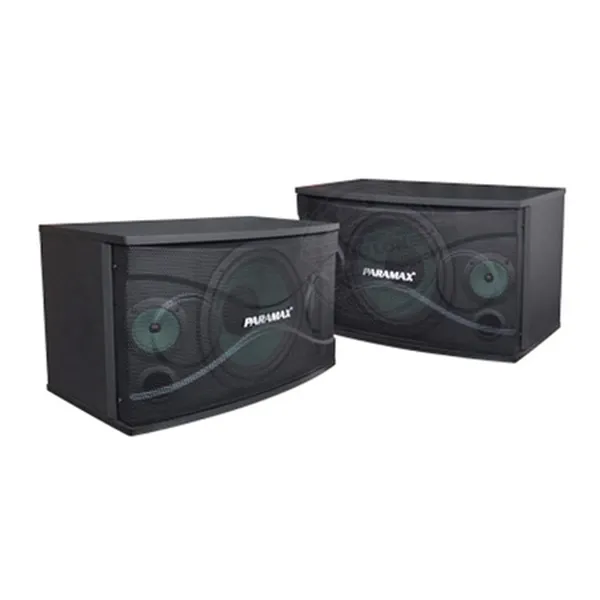 Loa Paramax P-507