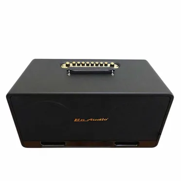 Loa Karaoke Xách Tay BN Audio BA 5500 VII 0