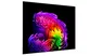 Smart Tivi LG OLED AI 4K 97 Inch OLED97G6PSA 2
