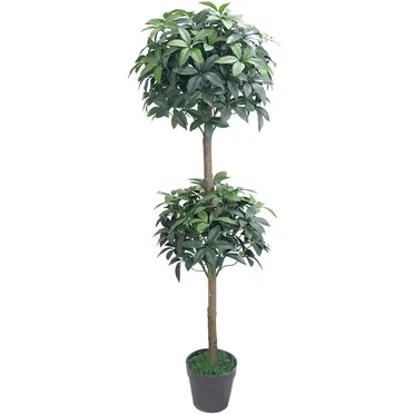 Chậu Cây Thạch Nam JWT2939