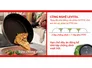 Chảo Chống Dính Fissler Levital Classic 20cm - Xuất Xứ Đức