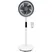 Quạt Đứng Lửng KDK HL19V