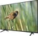 Android Tivi 4K TCL 50 Inch 50P618 3